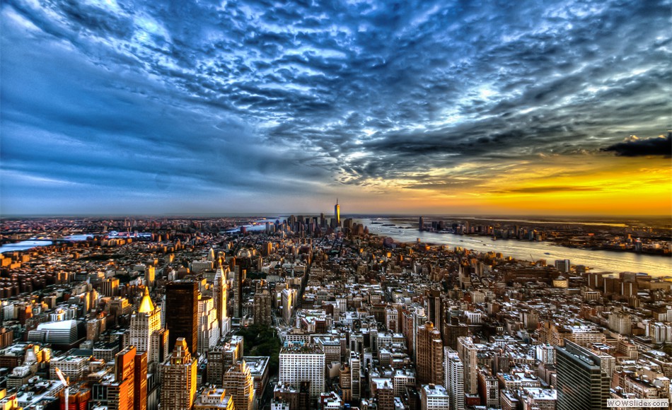 ny1